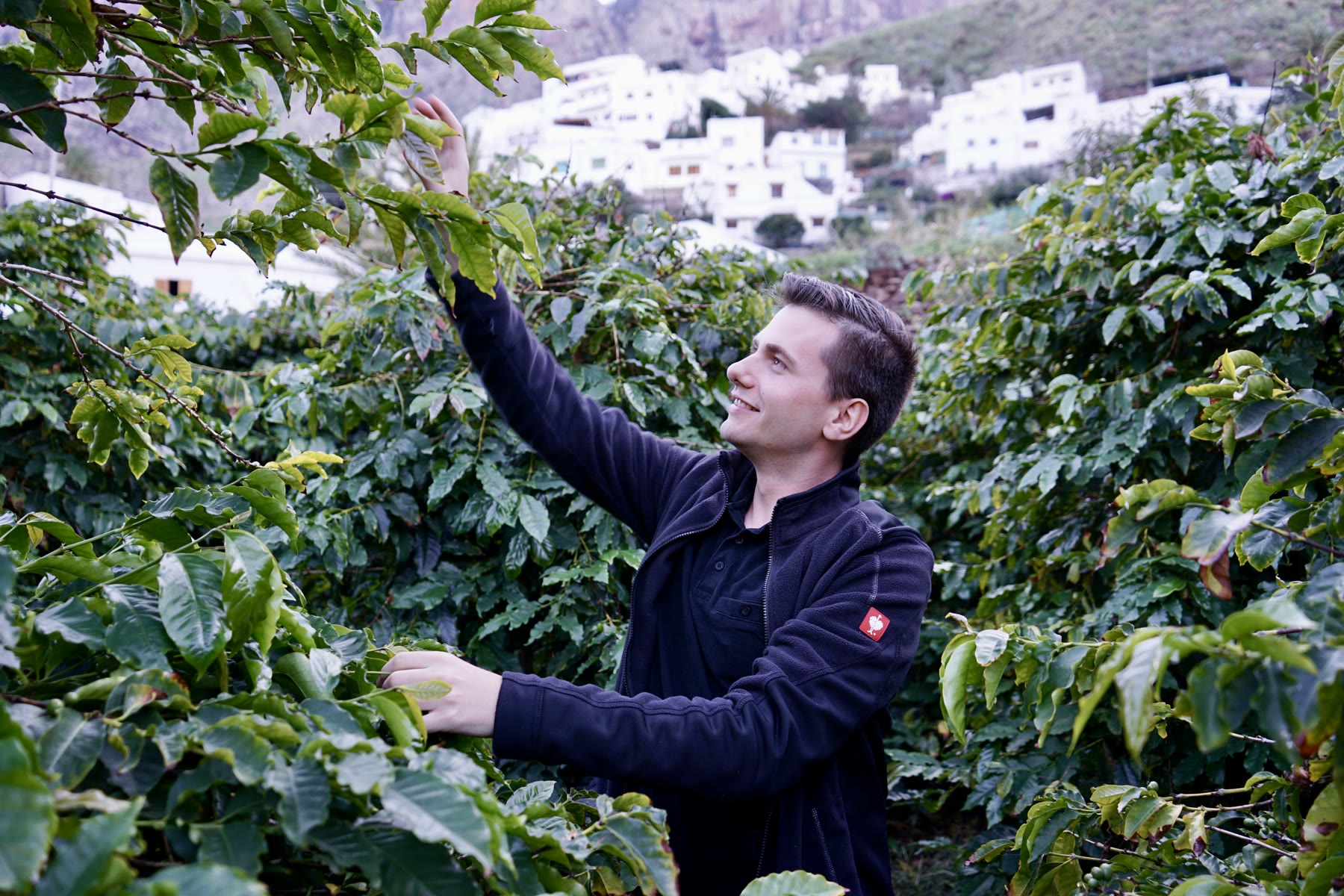 Operational process mapping in a coffee farm environment